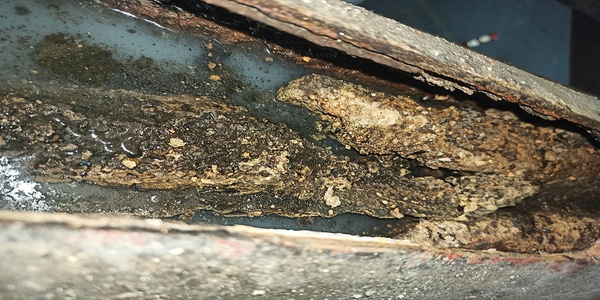 Fat, Oil & Grease (FOG) Drain Line Cleaning